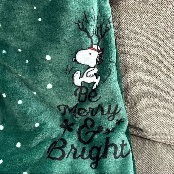 NWT-Peanuts Green 60x70” Velvet Loft Throw Blanket by Berkshire Blanket & Home - Picture 2 of 7